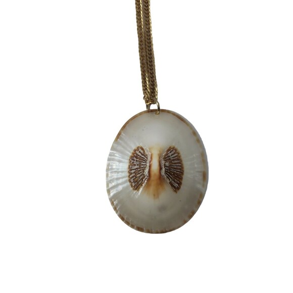 Seashell Shell Natural Coned Necklace Vintage 1970s Beautiful Pendant Collect - Picture 1 of 16